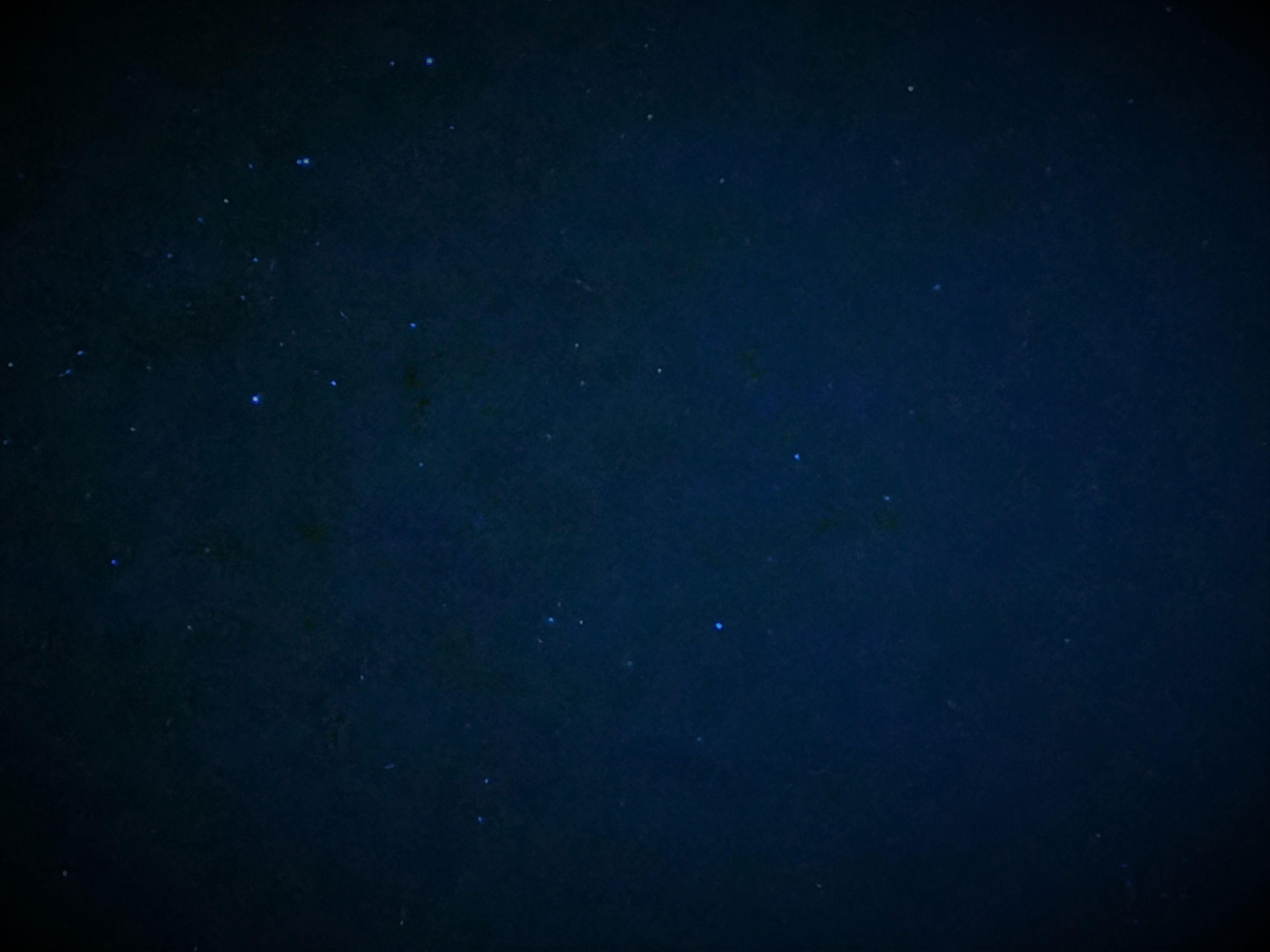 Introducing Paulette Mondeja:All You Need to Know About the Onlyfans Model