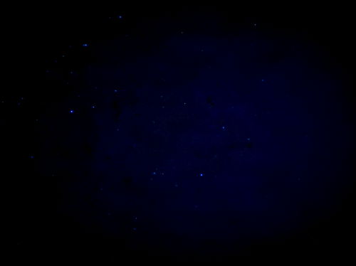 Introducing Paulette Mondeja:All You Need to Know About the Onlyfans Model