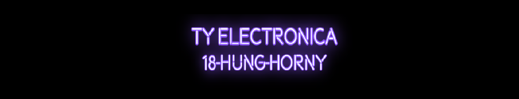 Ty Electronica-photo