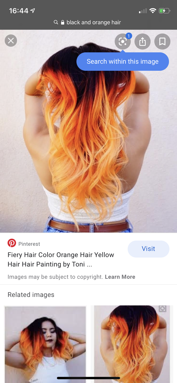 about model image