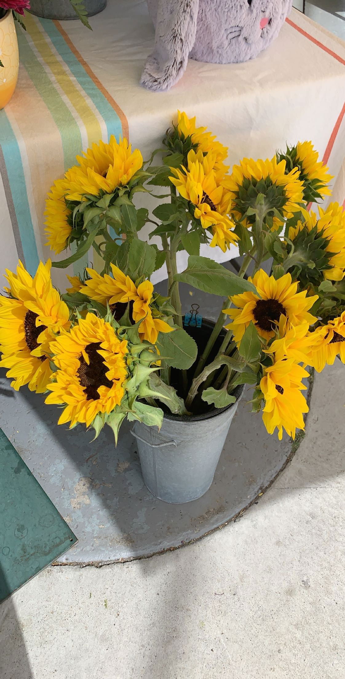 Introducing Bones:All You Need to Know About the Onlyfans Model