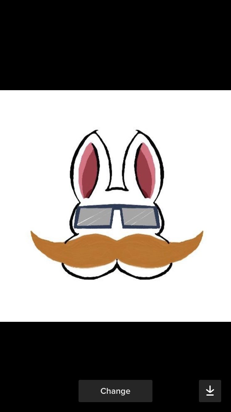 Rabbit profile avatar