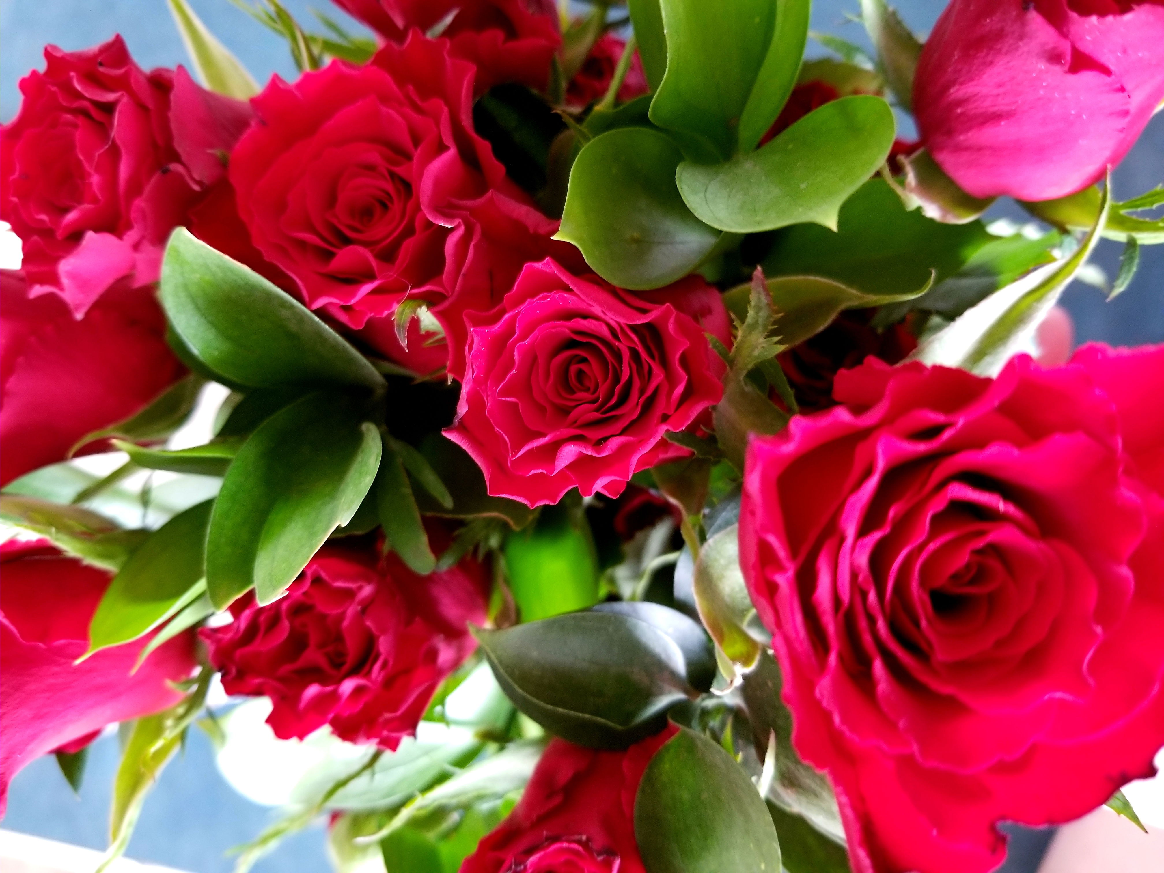 Introducing Britt:All You Need to Know About the Onlyfans Model